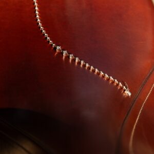 The Phronesis Pathfinder
